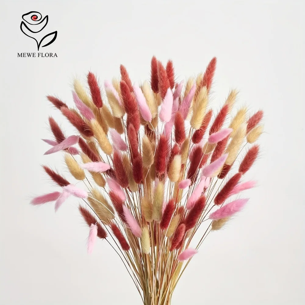 Dried Pampas Bundle - 90 個混合 3 色バニーテールドライフラワーススキバンドルセット自由奔放に生きる秋のフラワーアレンジメントブーケホームウェディング装飾