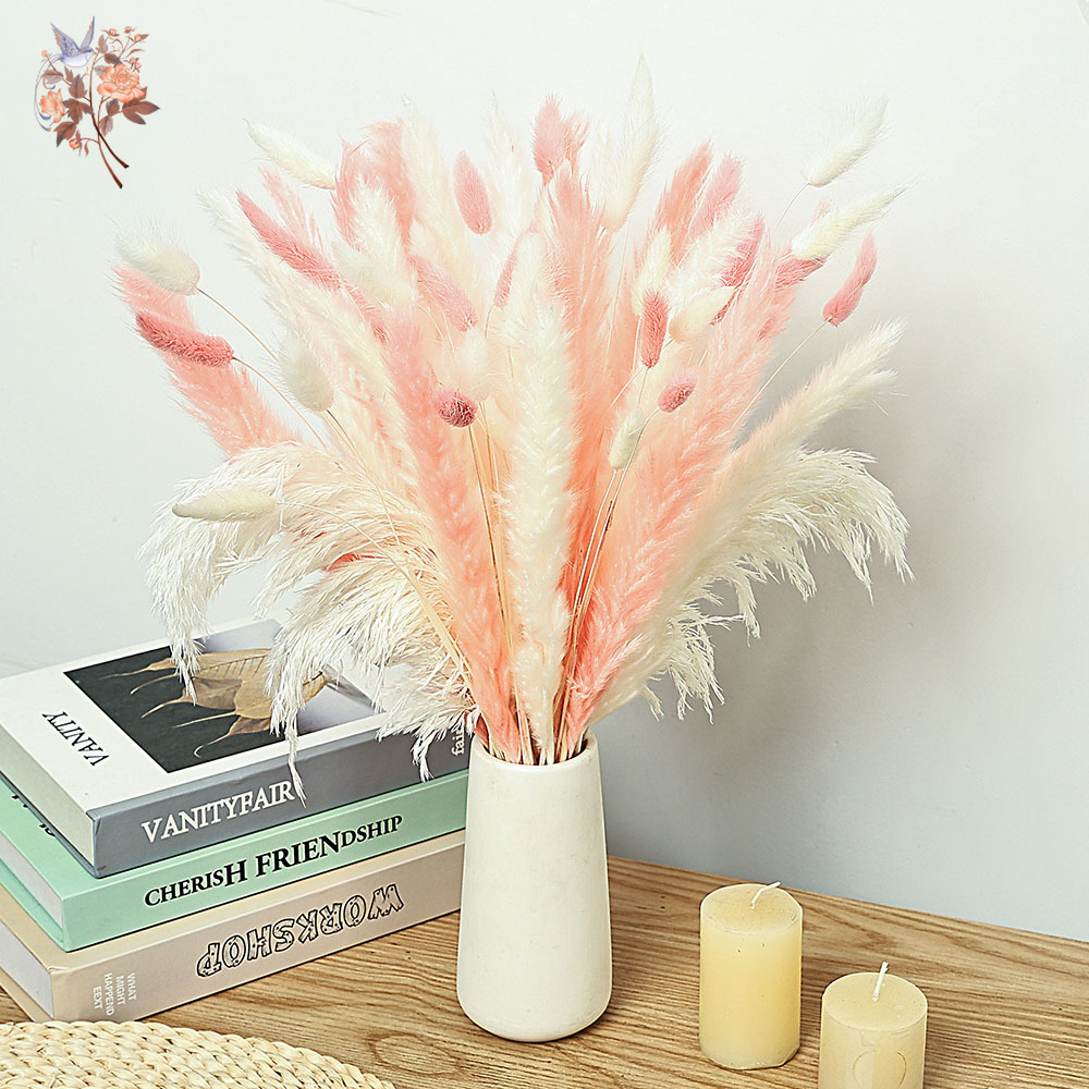 Dried Pampas Bundle - 62 個ホワイトリードピンクウサギの尾草花束北欧ホームドライフラワー装飾自然ススキバンドルウェディングアレンジメント