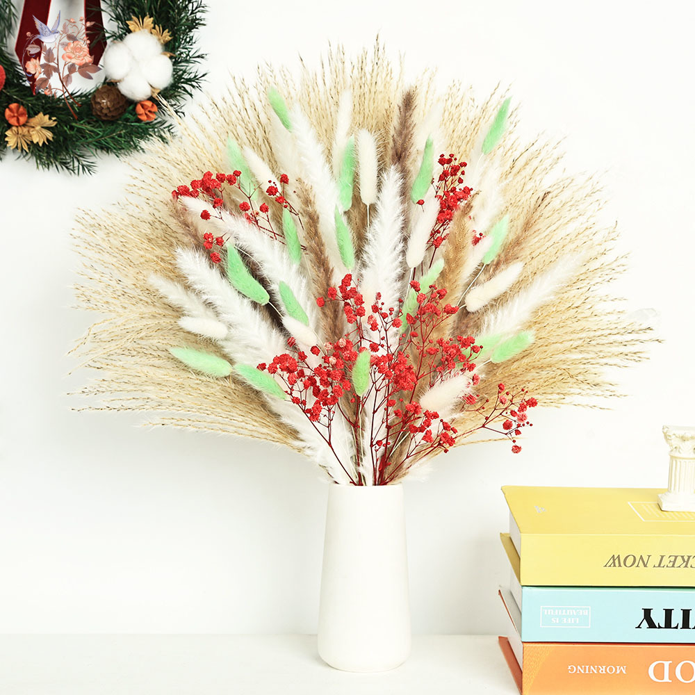 Dried Pampas Bundle - 70本のふわふわした緑と赤のパンパスグラスの束、クリスマスの飾り付け、家のフラワーアレンジメント、テーブルセンターピース用のドライフラワー