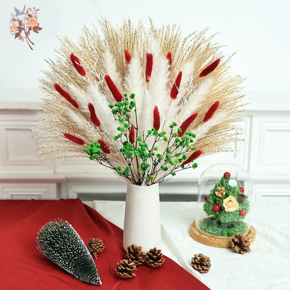 Dried Pampas Bundle - 55個のドライフラワーブーケ クリスマスデコレーション 室内用 天然ふわふわパンパスグラス かすみ草束 ホームテーブル花瓶フィラー
