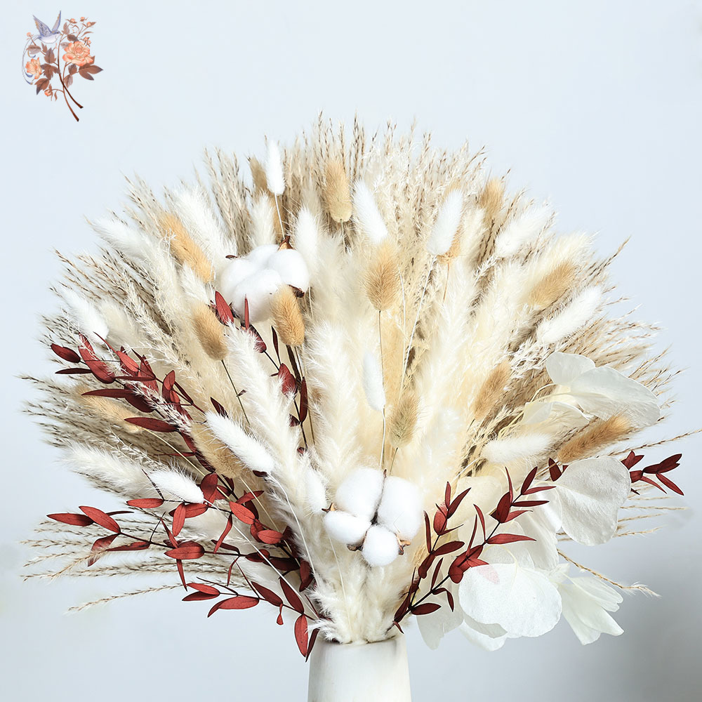 70本入り ドライパンパスグラス ブーケ ナチュラルコットン - Dried Pampas Bundle のレビューと価格