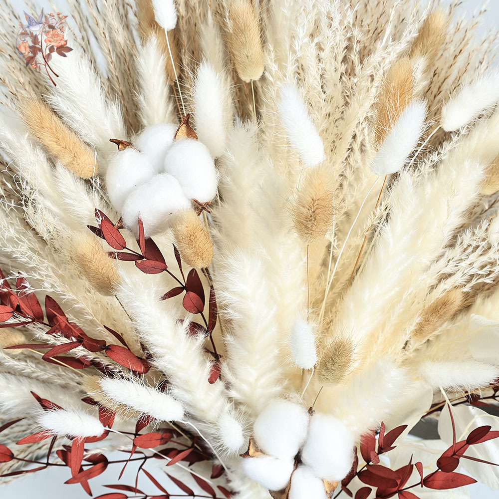 70本入り ドライパンパスグラス ブーケ ナチュラルコットン - Dried Pampas Bundle のレビューと価格