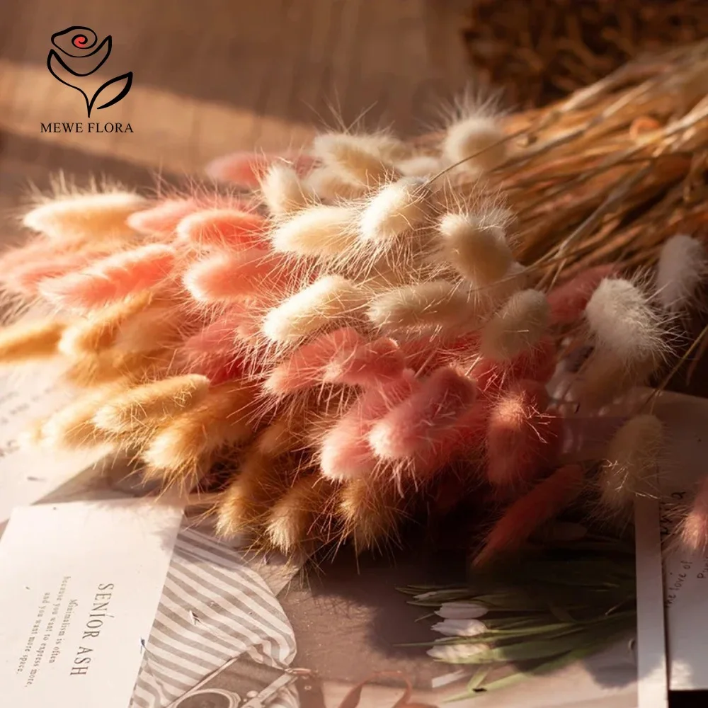 90 個混合 3 色バニーテールドライフラワーススキバンドル - Dried Pampas Bundle のレビューと価格