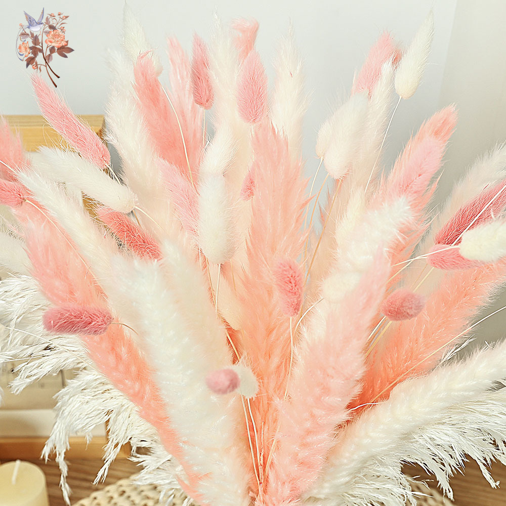 62 個ホワイトリードピンクウサギの尾草花束北欧ホームドライ - Dried Pampas Bundle のレビューと価格