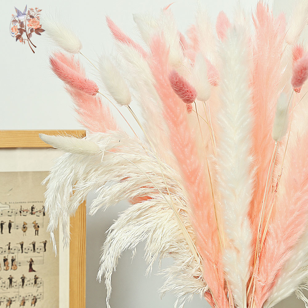 62 個ホワイトリードピンクウサギの尾草花束北欧ホームドライ - Dried Pampas Bundle のレビューと価格