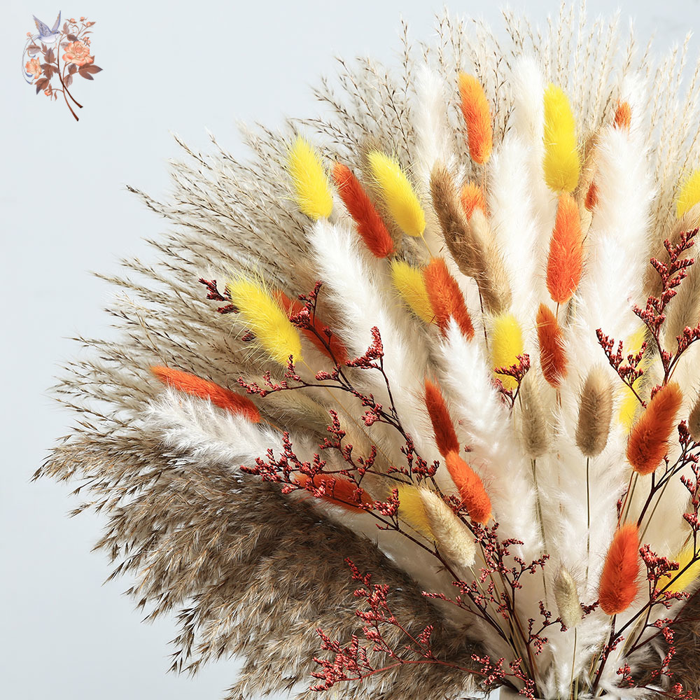 85 個のナチュラルふわふわ秋ススキバンドルボヘミアンホーム - Dried Pampas Bundle のレビューと価格
