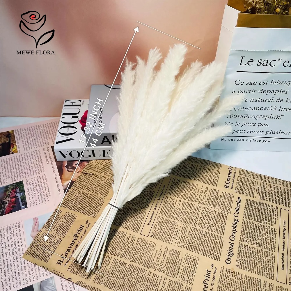 20本入りふわふわパンパスグラス ドライフラワーバンドル ナ - Dried Pampas Bundle のレビューと価格