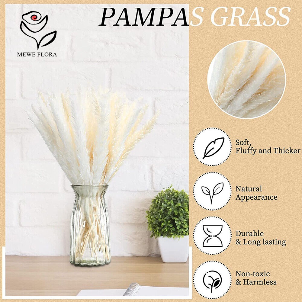 20本入りふわふわパンパスグラス ドライフラワーバンドル ナ - Dried Pampas Bundle のレビューと価格