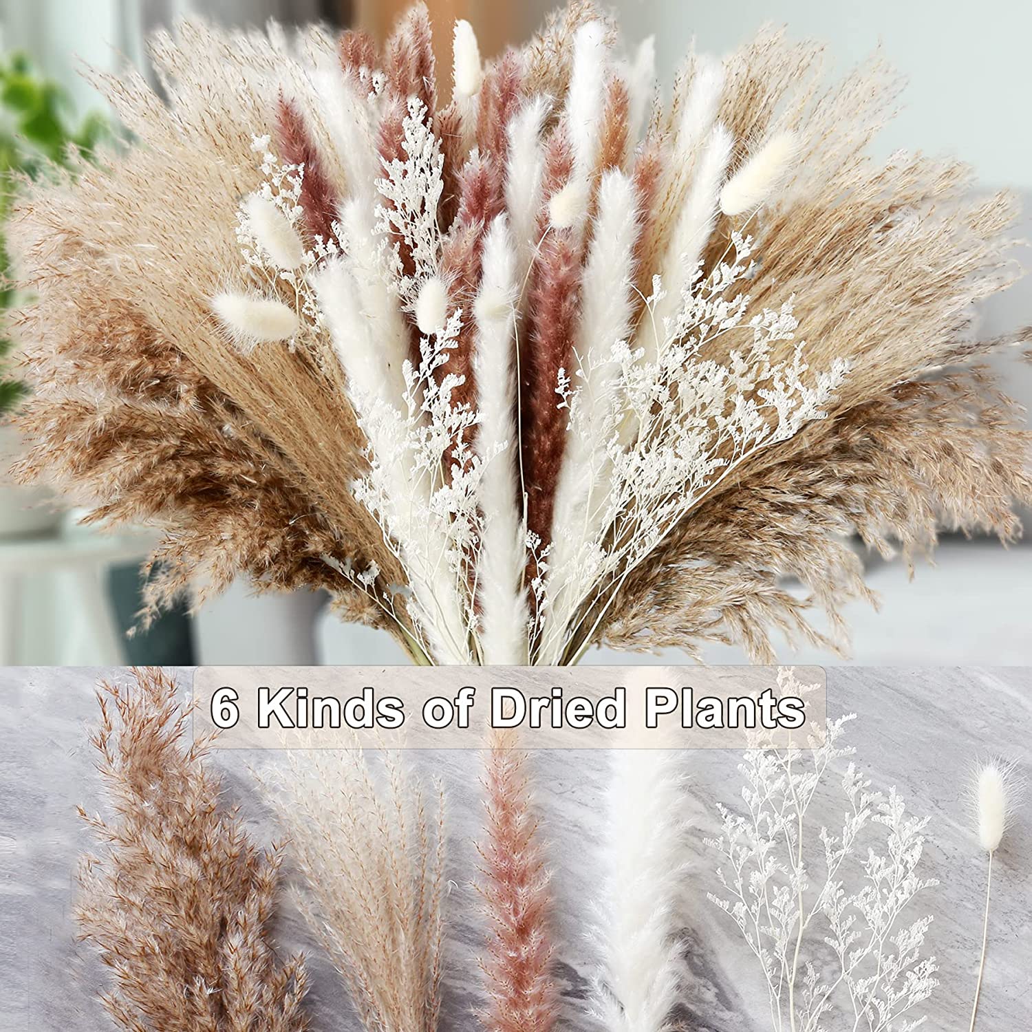 ホームテーブルデコレーション ドライフラワー 天然のドライプ - Dried Pampas Bundle のレビューと価格