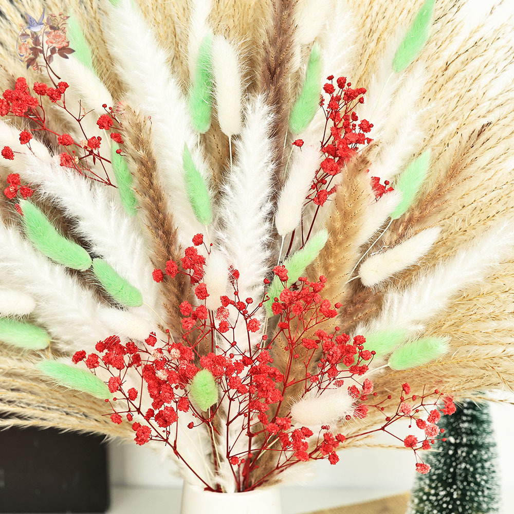 70本のふわふわした緑と赤のパンパスグラスの束、クリスマスの - Dried Pampas Bundle のレビューと価格