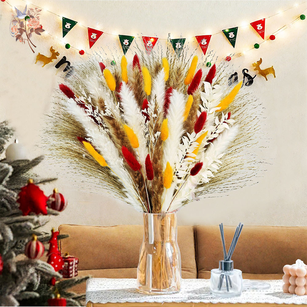 70本の茎の天然ふわふわパンパスグラス、ドライフラワーバンド - Dried Pampas Bundle のレビューと価格