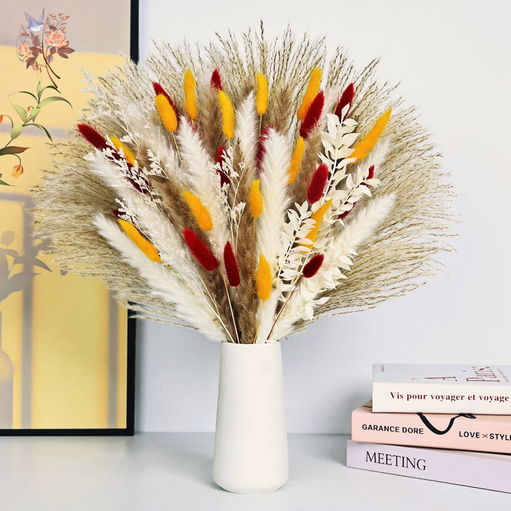 70本の茎の天然ふわふわパンパスグラス、ドライフラワーバンド - Dried Pampas Bundle のレビューと価格