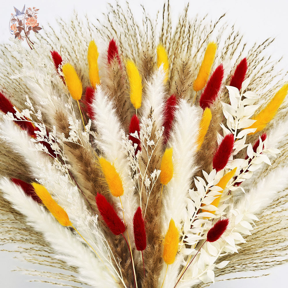 70本の茎の天然ふわふわパンパスグラス、ドライフラワーバンド - Dried Pampas Bundle のレビューと価格