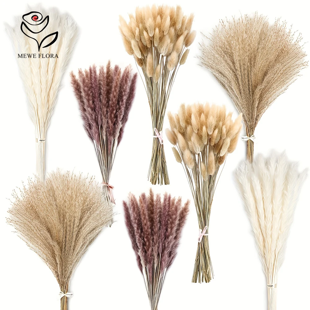 200 個乾燥ススキバニーテール草ビッグバンドル花花束花瓶の - Dried Pampas Bundle のレビューと価格