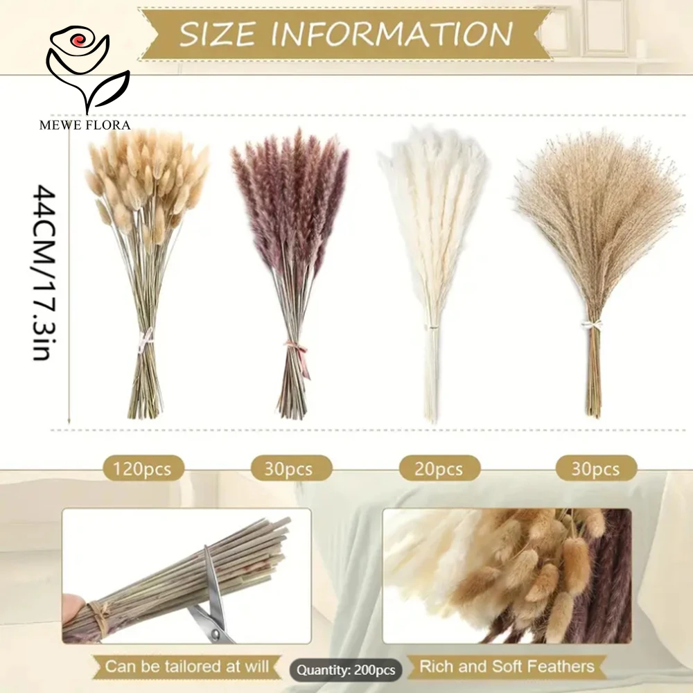200 個乾燥ススキバニーテール草ビッグバンドル花花束花瓶の - Dried Pampas Bundle のレビューと価格