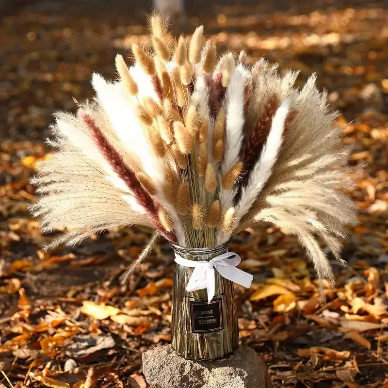 200 個乾燥ススキバニーテール草ビッグバンドル花花束花瓶の - Dried Pampas Bundle のレビューと価格